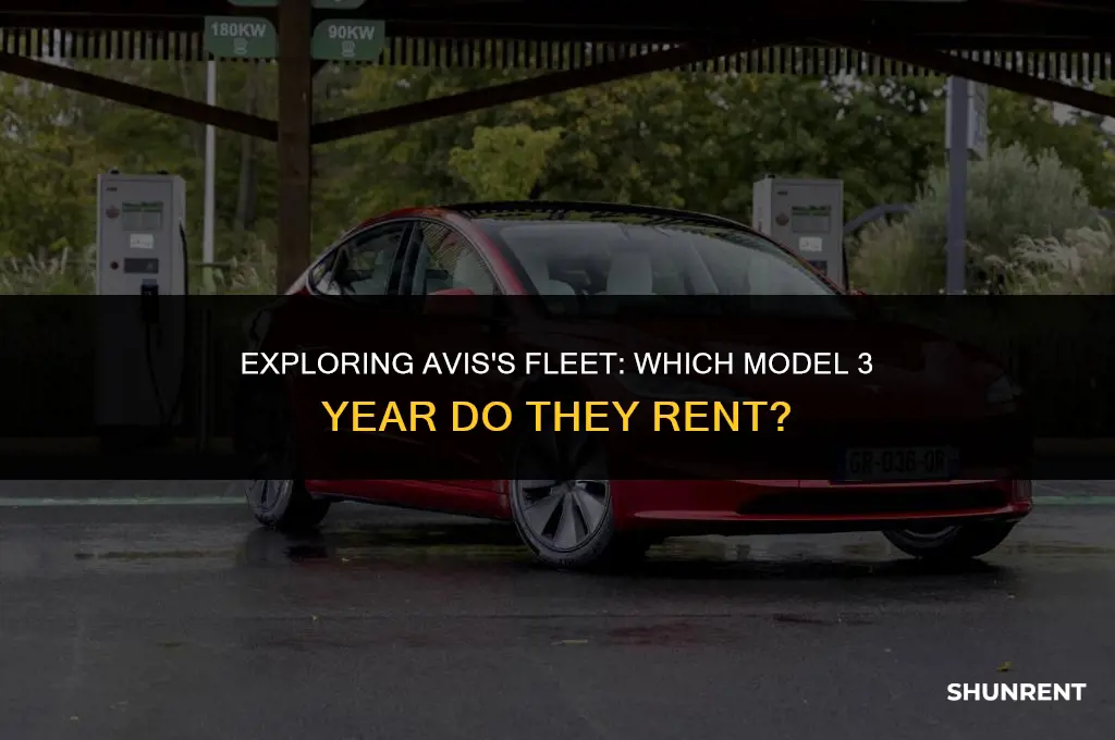 what year model 3 does avis rent