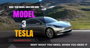 Discover the Year Model of Tesla Model 3 at Avis Rentals