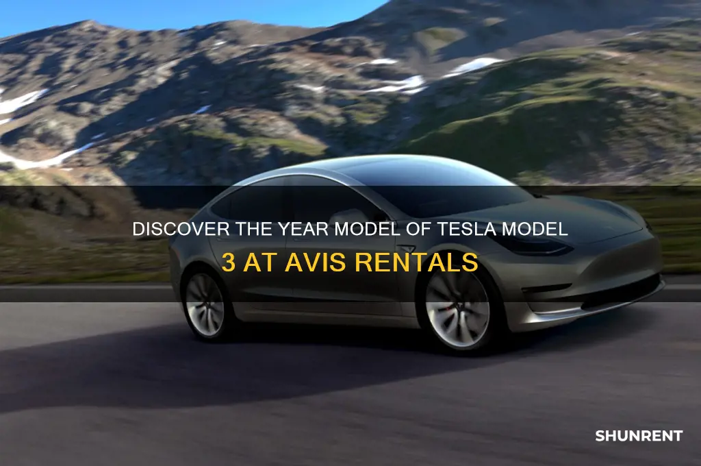 what year model does avis rent model 3 tesla