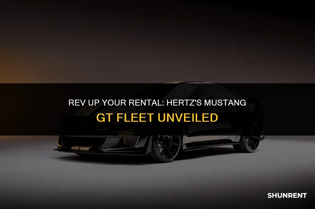 what year mustang gt does hertz rent