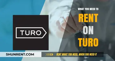 Essential Turo Rentals: What You Need for a Smooth Ride