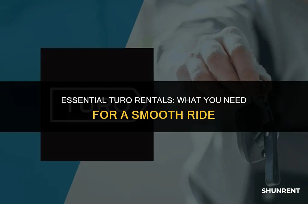 what you need to rent on turo