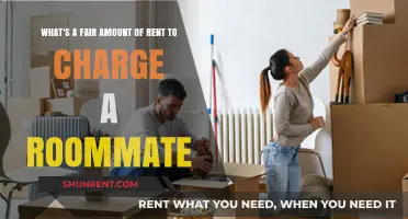 Fair Rent for Roommates: Balancing Affordability and Shared Living Costs