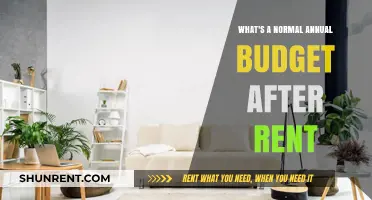 Understanding Your Post-Rent Annual Budget: A Practical Financial Guide