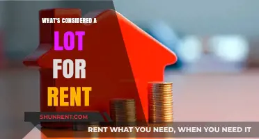 Decoding Rental Prices: What Qualifies as 'A Lot' for Rent?