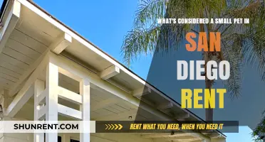 Small Pets in San Diego Rentals: What's Allowed?
