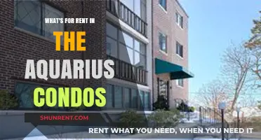 Explore Aquarius Condos: Rental Options and Amenities Available Now