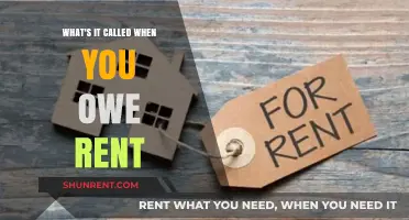 Understanding Rent Arrears: What It Means When You Owe Rent