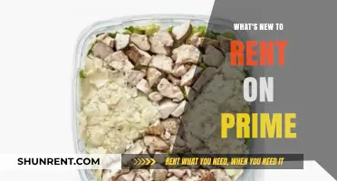 Fresh Picks on Prime: Unveiling the Latest Rentals