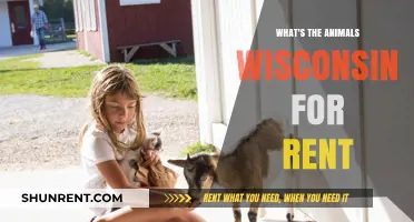 Exploring Wisconsin's Unique Animal Rentals: A Guide to Unforgettable Experiences