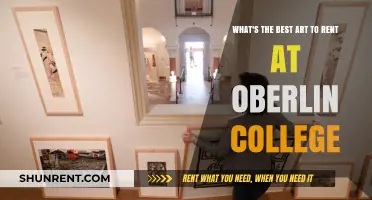 Discover Top Art Rentals at Oberlin College for Students