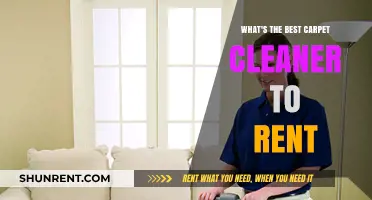 Top Rental Carpet Cleaners: Find the Best for Spotless Results