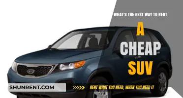 Smart Tips for Renting a Cheap SUV: Save Big on Your Next Trip