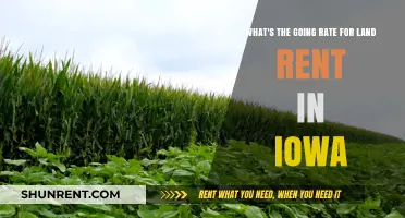 Iowa Land Rent Rates: Current Trends and Average Costs Explained