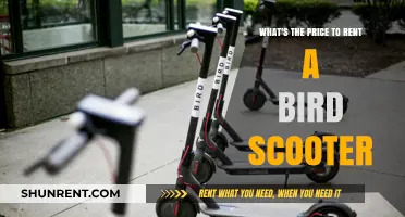 Bird Scooter Rental Costs: How Much Does It Really Cost?