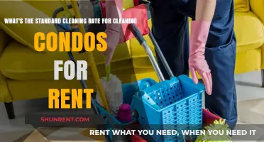 Standard Cleaning Rates for Rental Condos: What to Expect