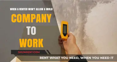 Renter Refusal: Navigating Mold Remediation Challenges in Rental Properties