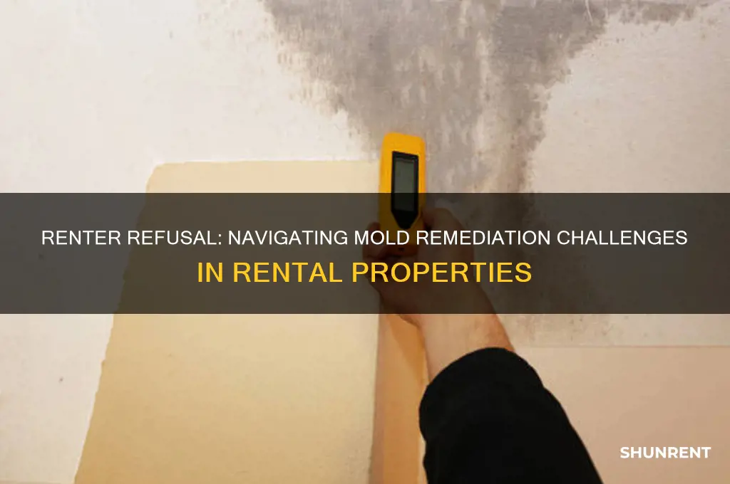 when a renter won