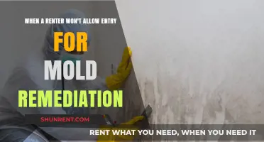 Renter Refuses Entry for Mold Remediation: Legal Rights and Solutions