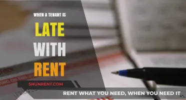 Navigating Late Rent Payments: A Guide for Landlords and Tenants