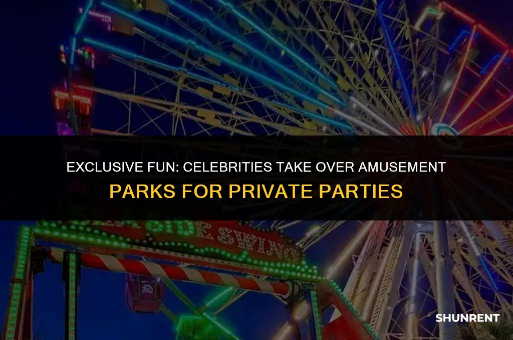 when celebrities rent out huge amusement parks
