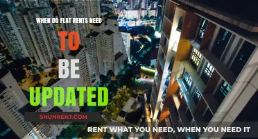 When Should Flat Rents Be Updated: Key Factors and Timing