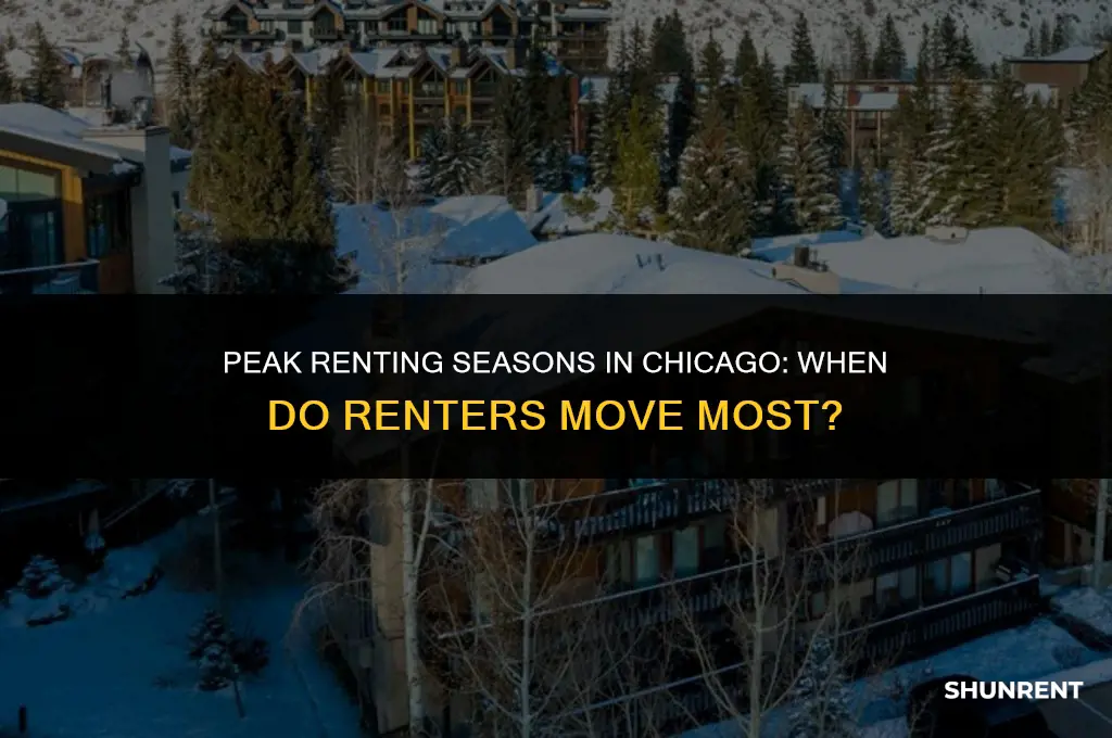when do renters rent most in chicago