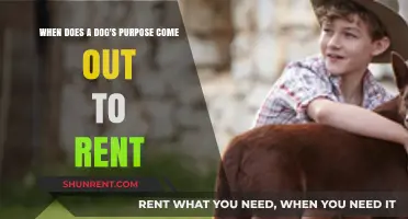 When Can You Rent 'A Dog's Purpose'? Release Date Guide