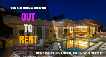 American Made Rental Release Date: When Can You Watch?