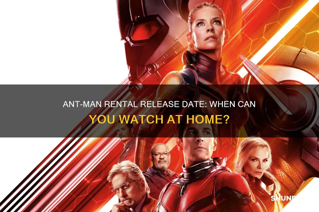 when does ant man come out to rent