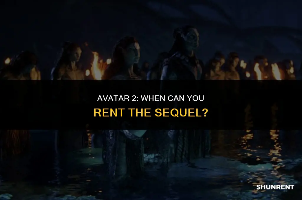 when does avatar 2 available to rent