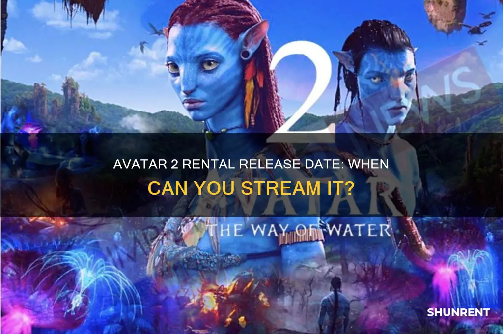 when does avatar 2 become available to rent