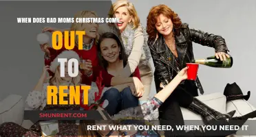 Bad Moms Christmas Rental Release Date: When Can You Watch?
