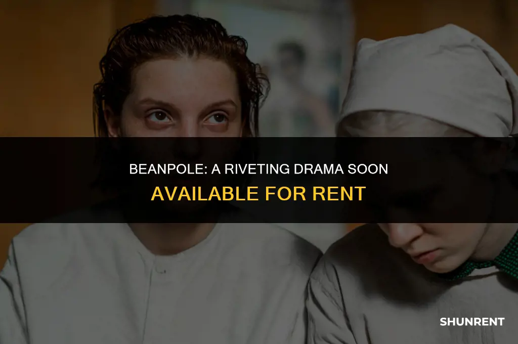 when does beanpole come out to rent