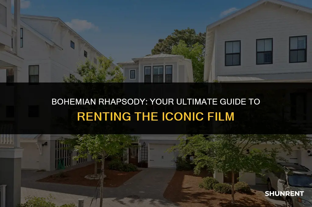 when does bohemian rhapsody available to rent