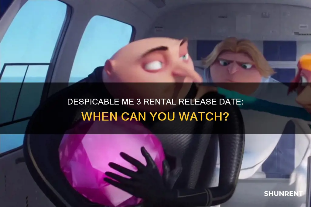 when does despicable me 3 come out to rent