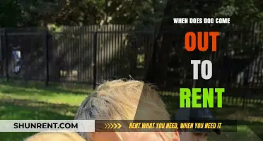 When Can You Rent a Dog: A Comprehensive Guide