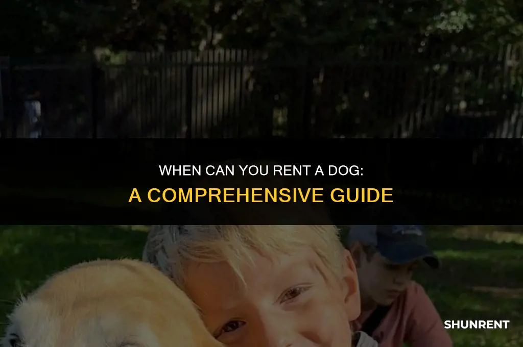 when does dog come out to rent