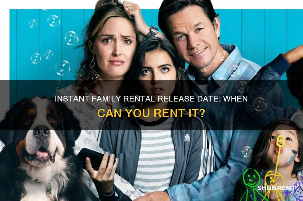 when does instant family come out to rent