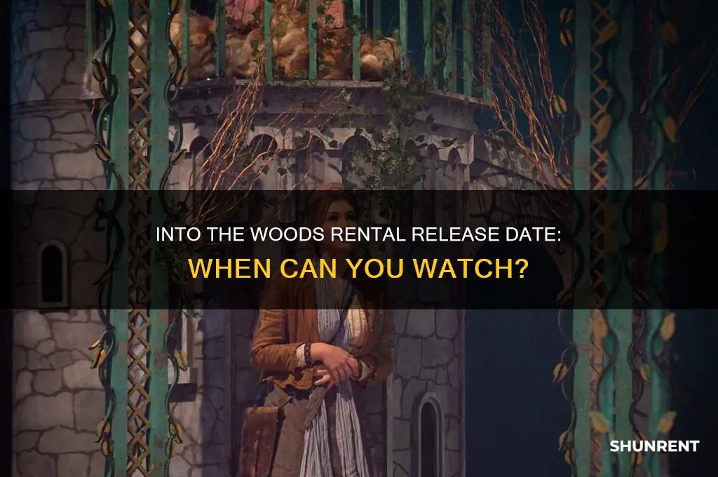 when does into the woods come out for rent