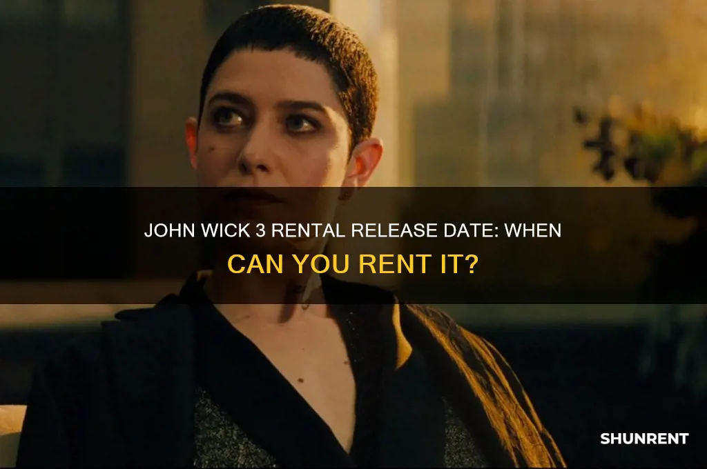 when does john wick 3 able to be rented
