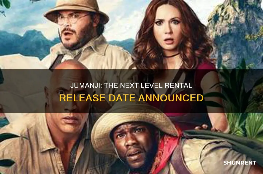 when does jumanji 2 come out to rent
