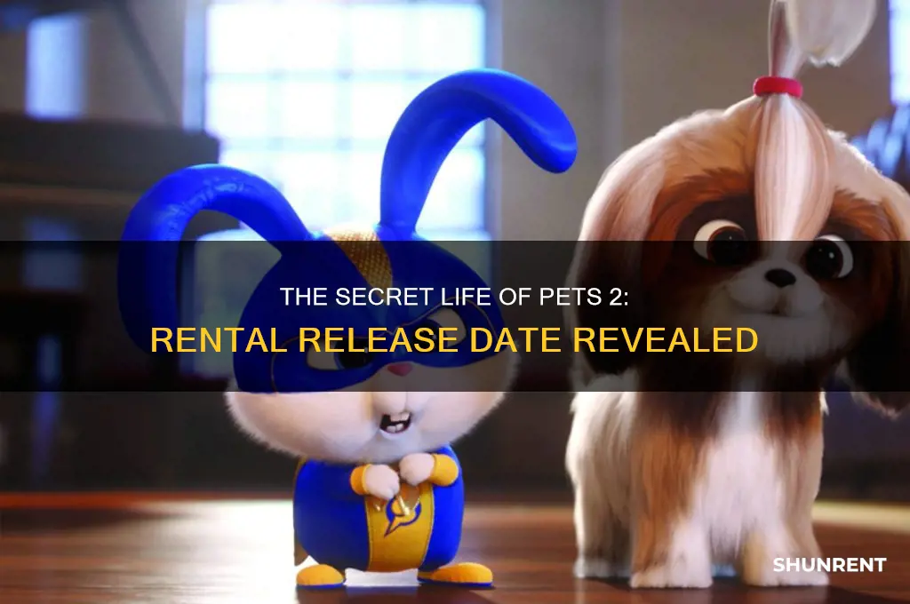 when does secret life of pets 2 available to rent