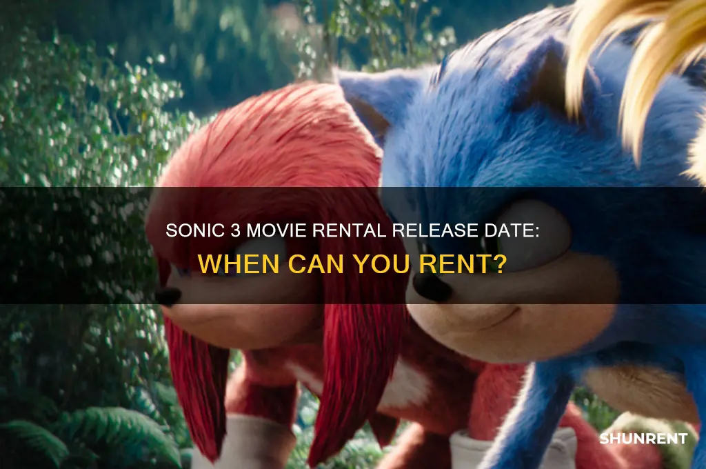 when does sonic 3 come out for rent