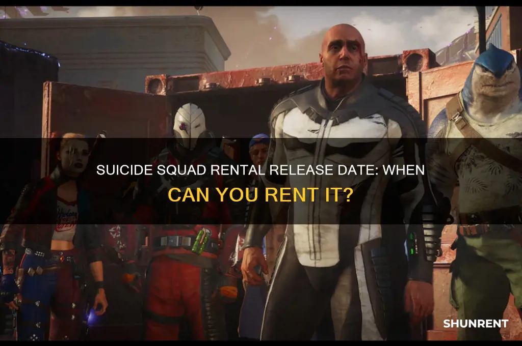 when does suicide squad come out for rent
