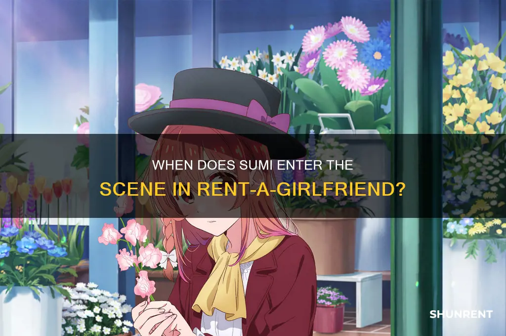 when does sumi appear in rent a girlfriend