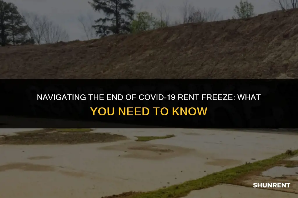 when does the covid rent freeze end