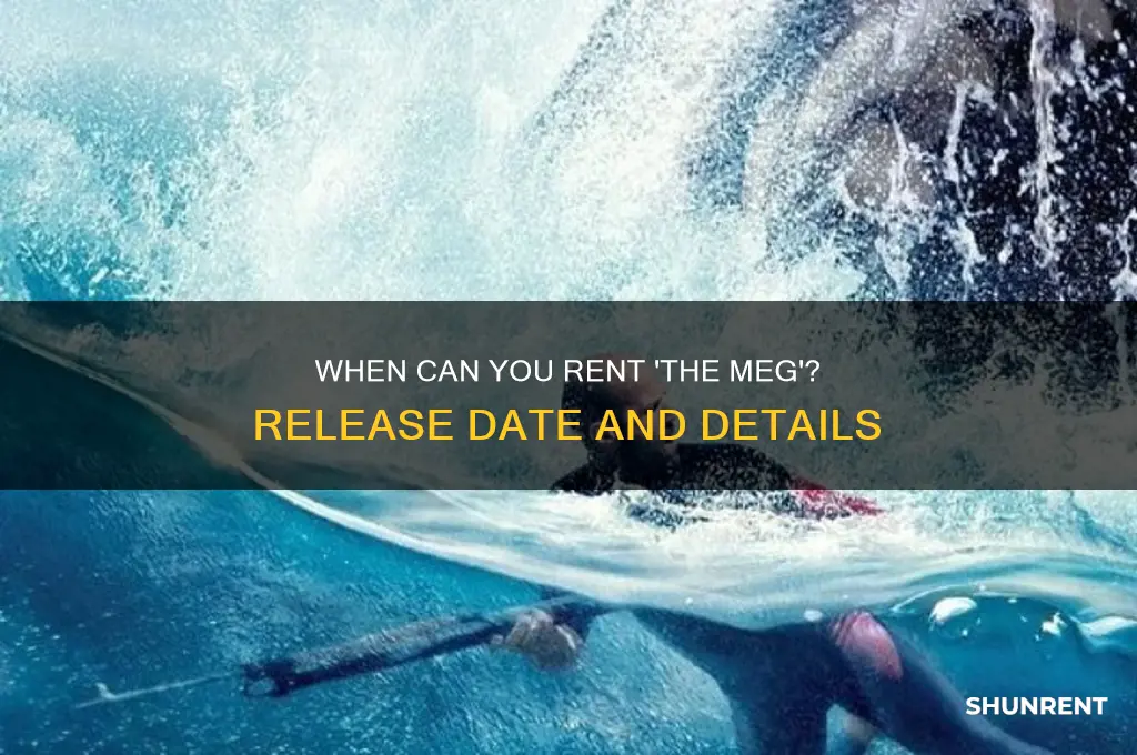 when does the meg come out to rent