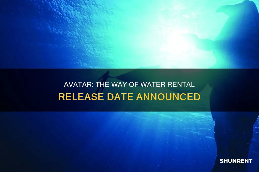 when does the new avatar come out to rent