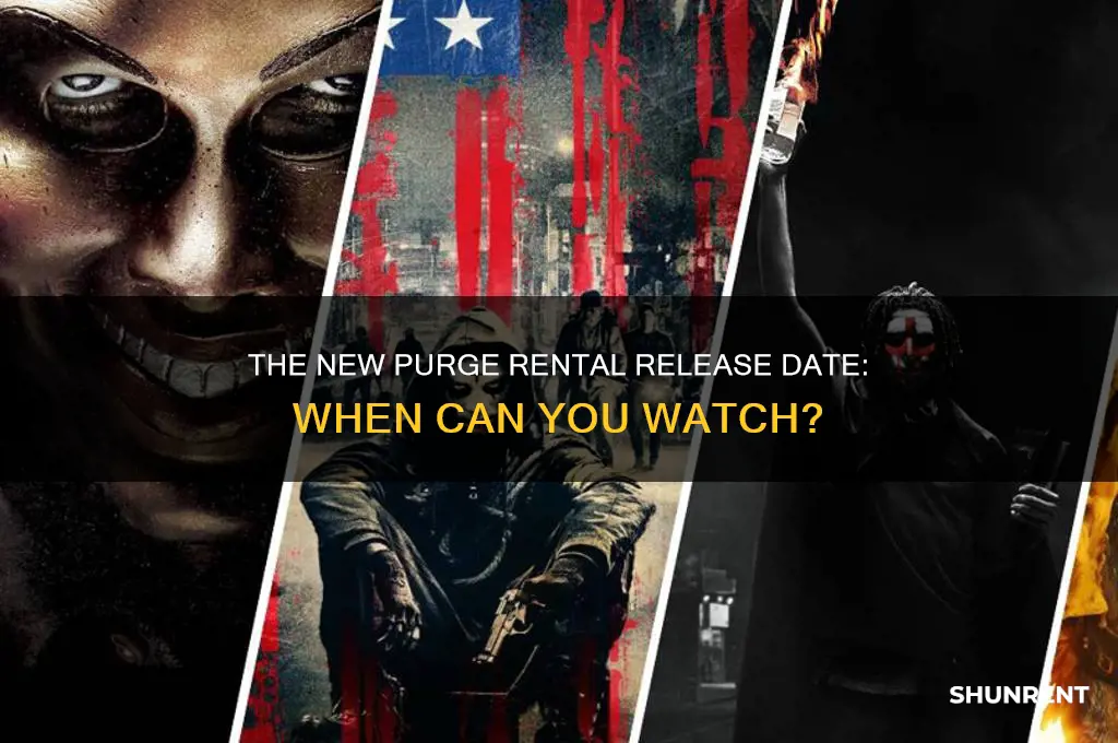 when does the new purge come out to rent